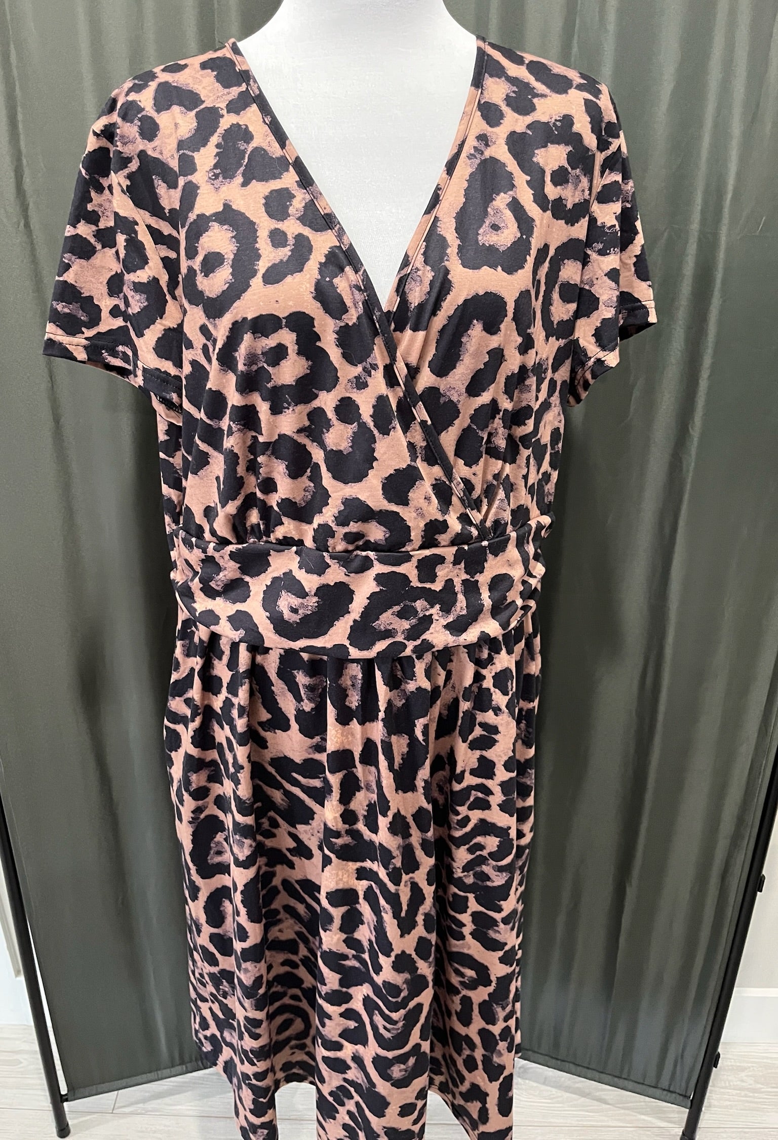 Women’s Leopard Dress image 0