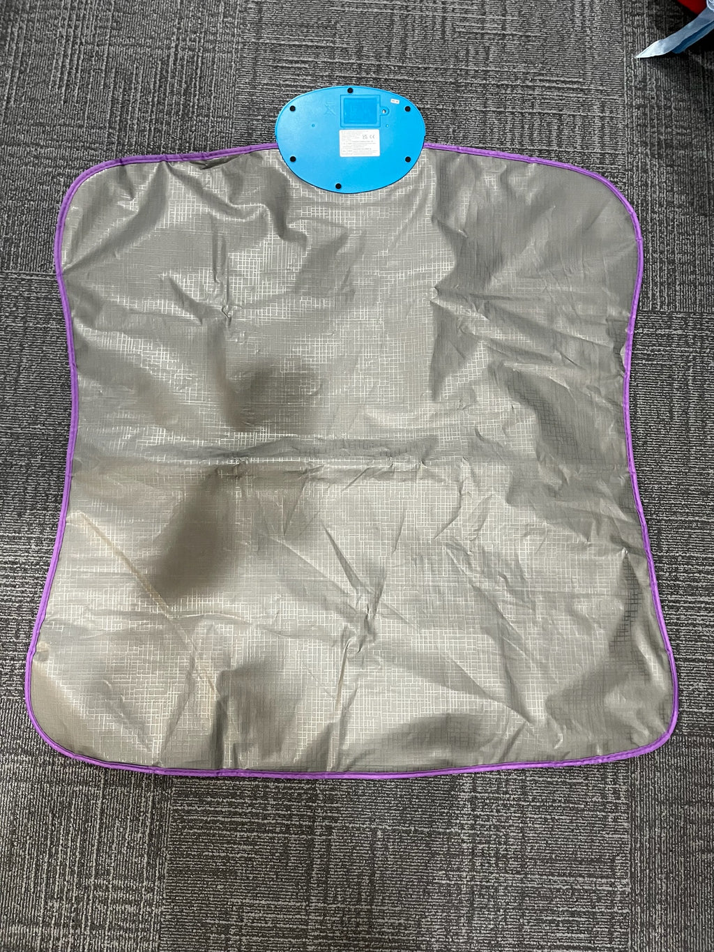 Princess Dancing Mat