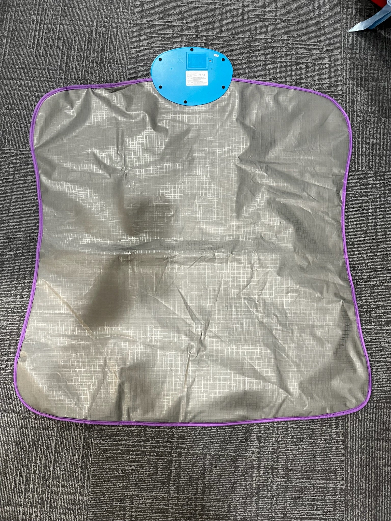 Princess Dancing Mat