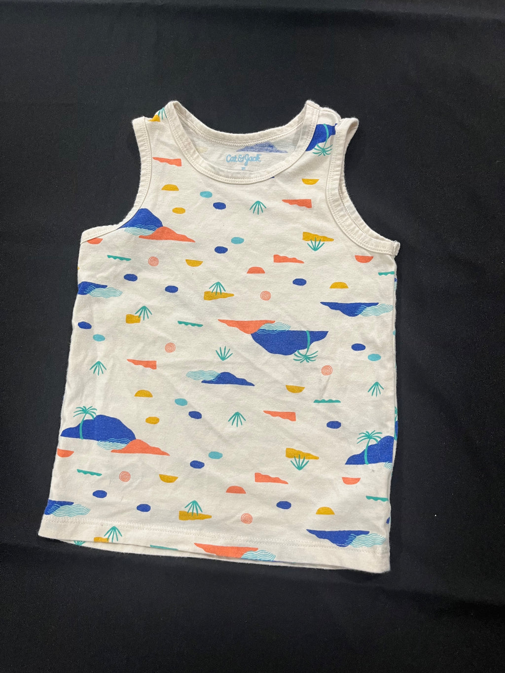 Desert Tank Top image 0