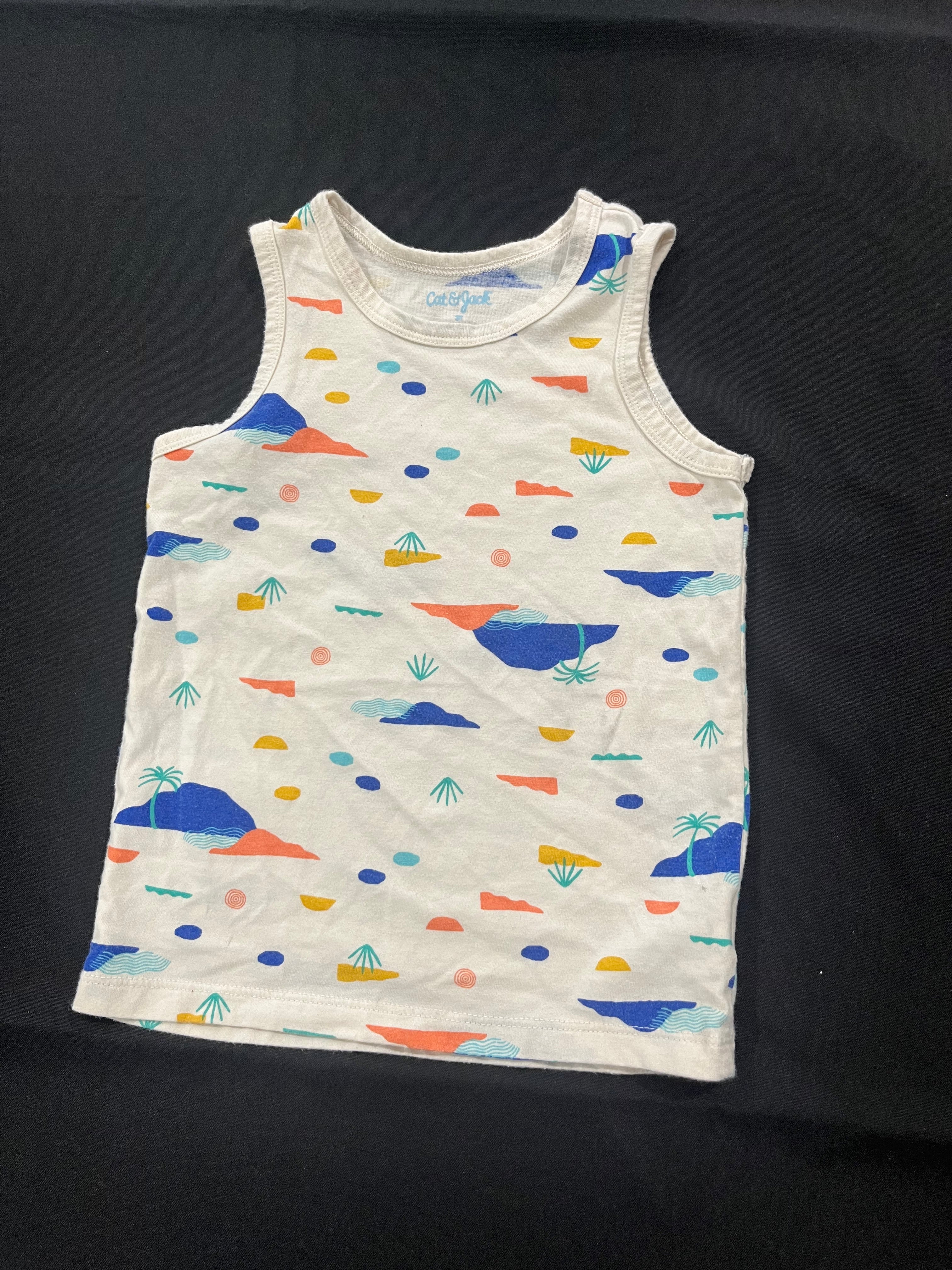 Desert Tank Top image 0