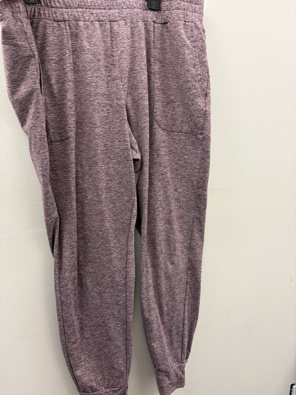 Used women’s Purple Pants