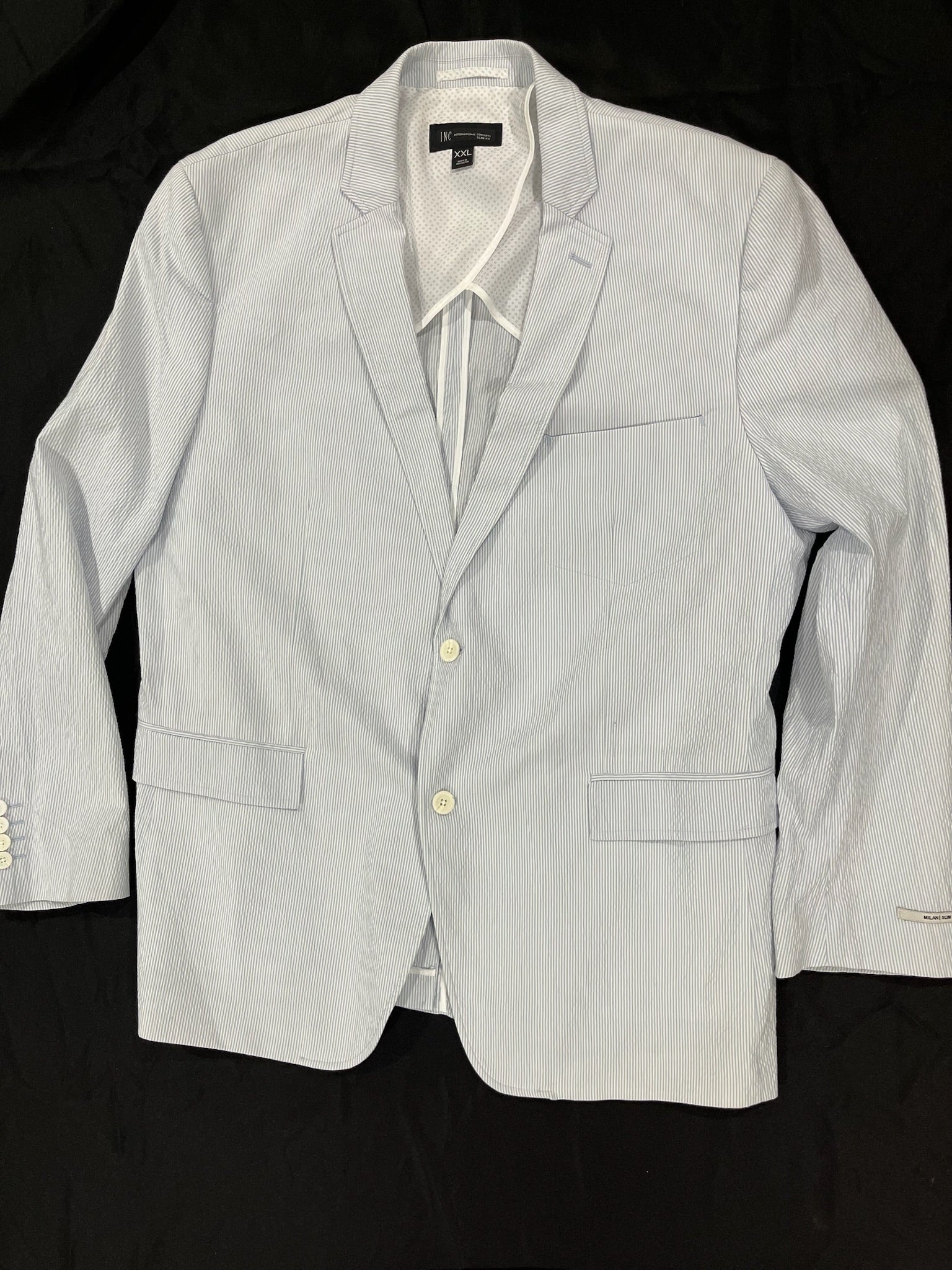Blue Striped Suit Jacket image 0