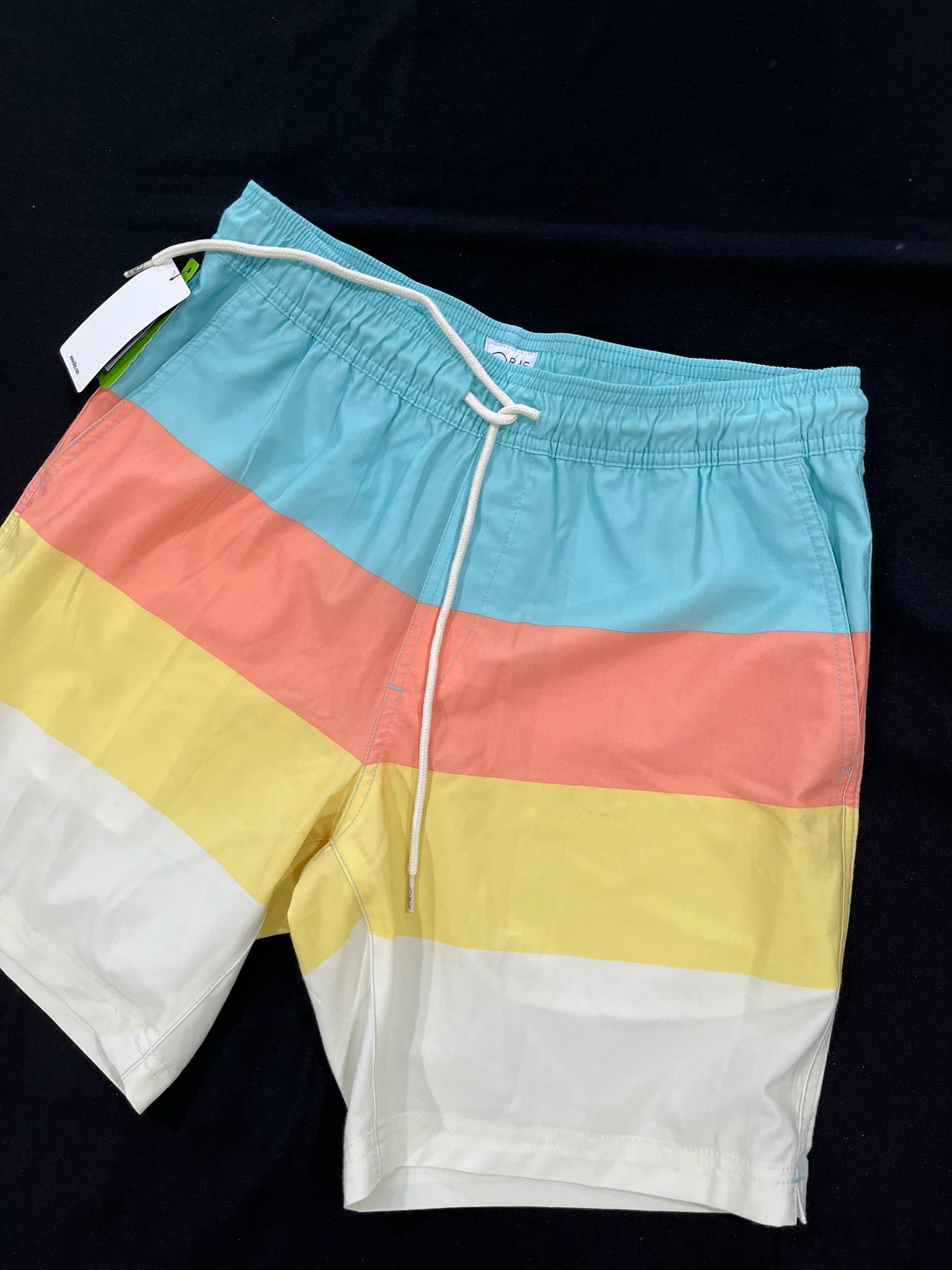 Men’s Swim Trunks image 1