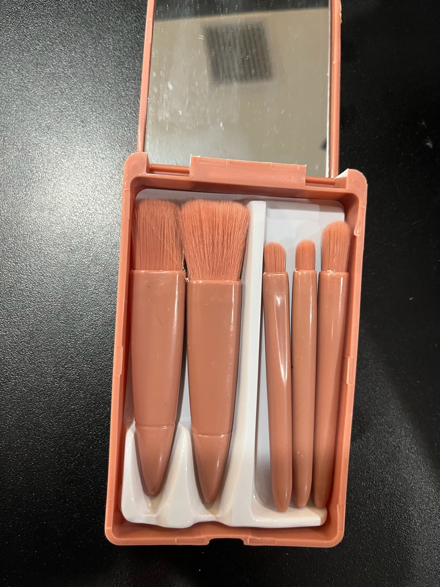 New Mini Travel Makeup Brushes & Case