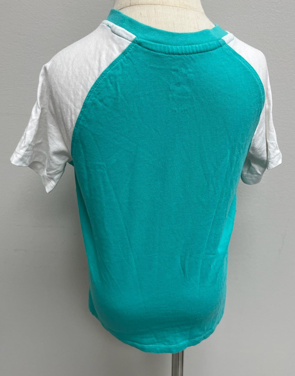 Used Boys Dino Shirt