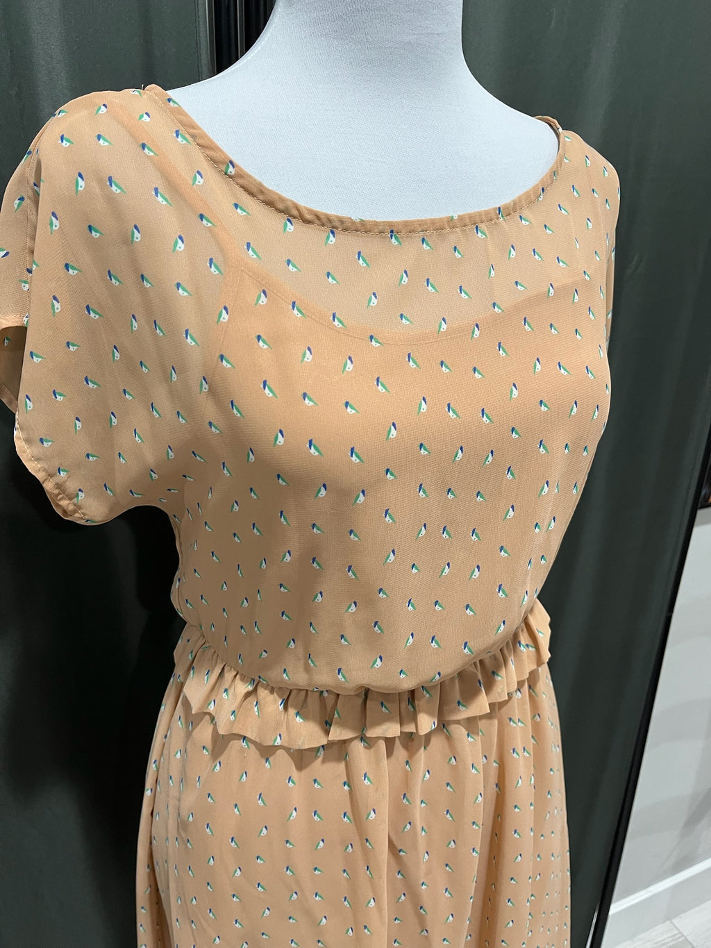 Peach Dress image 1