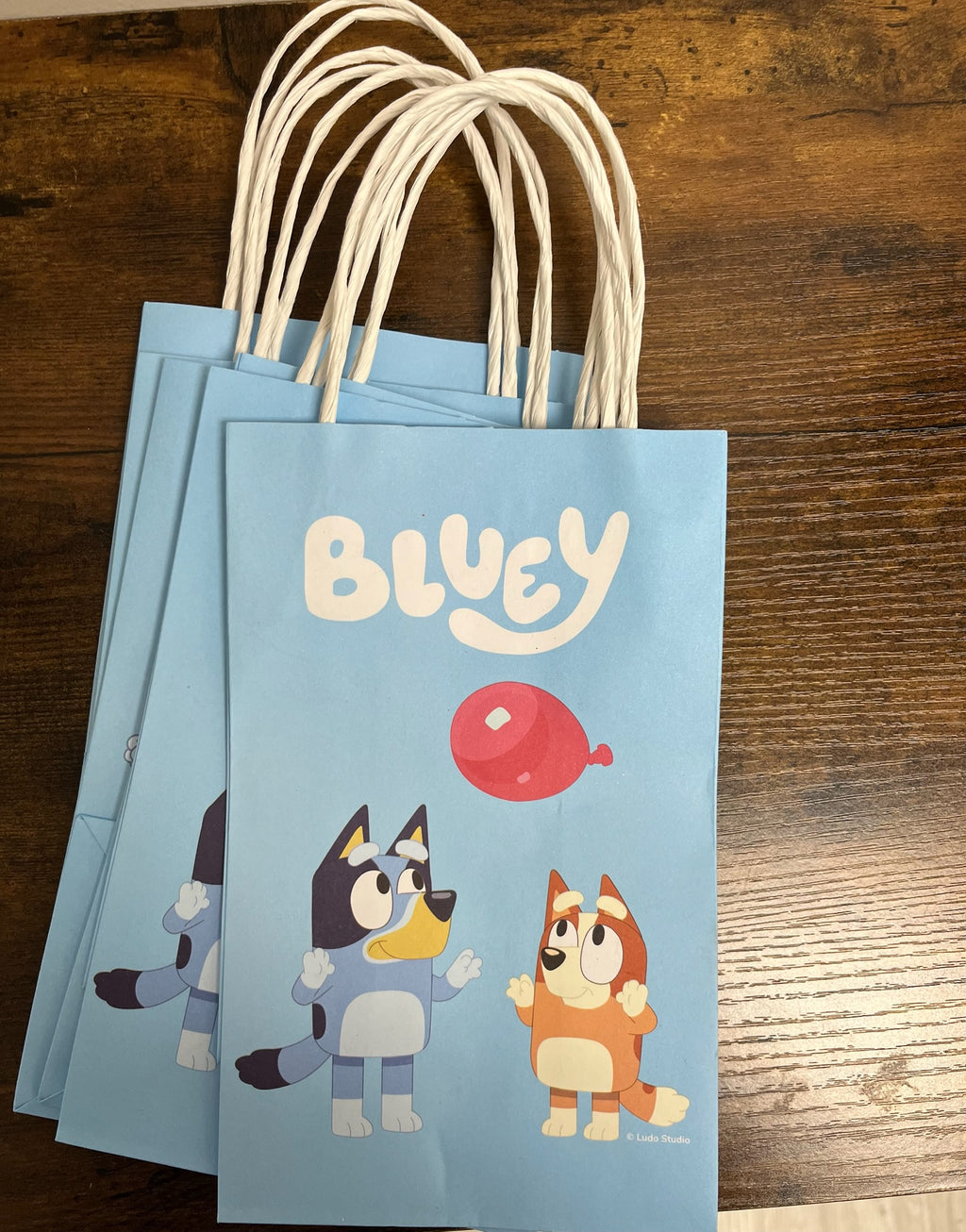 New Bluey Party Favor Bags (6 count)