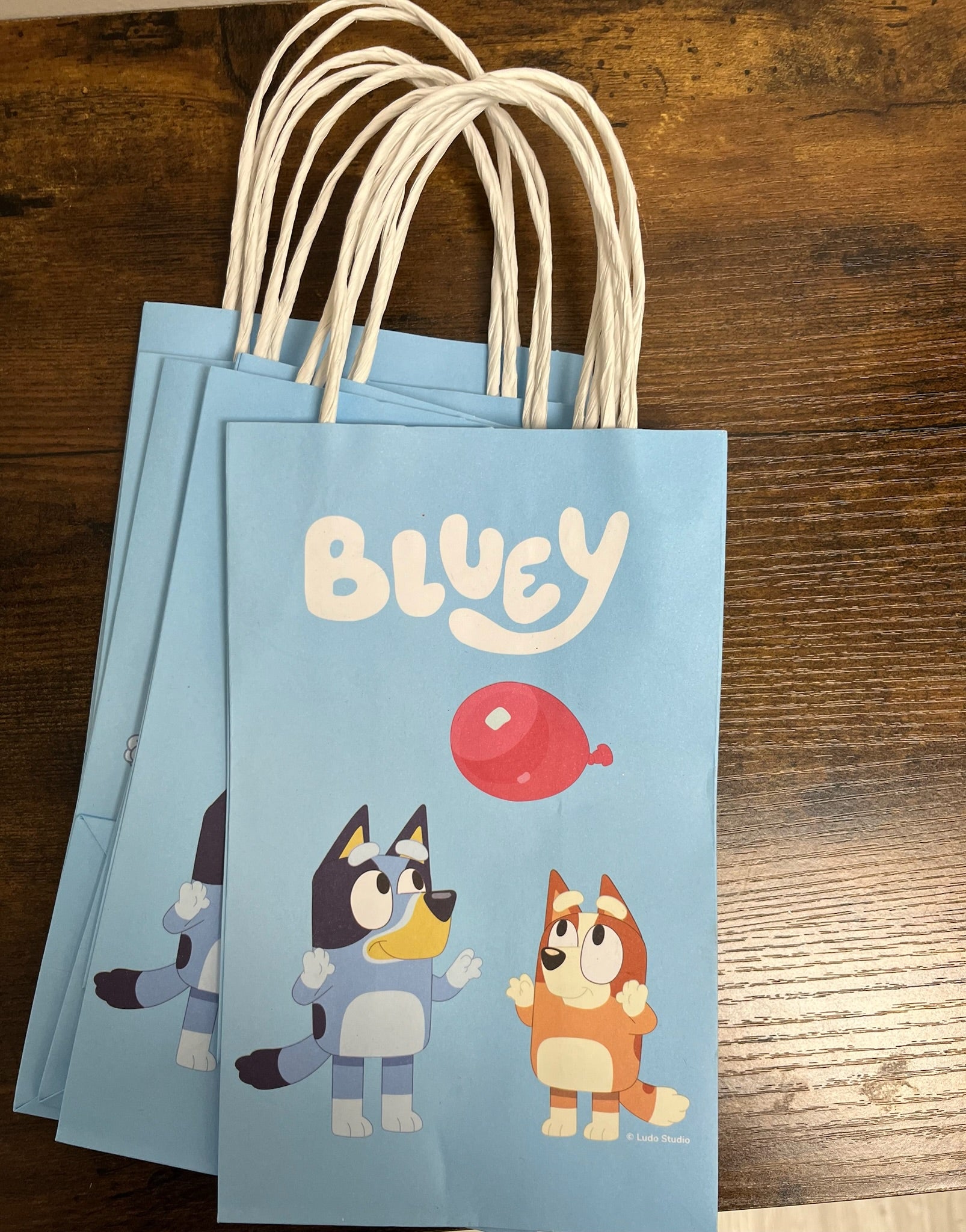 New Bluey Party Favor Bags (6 count)