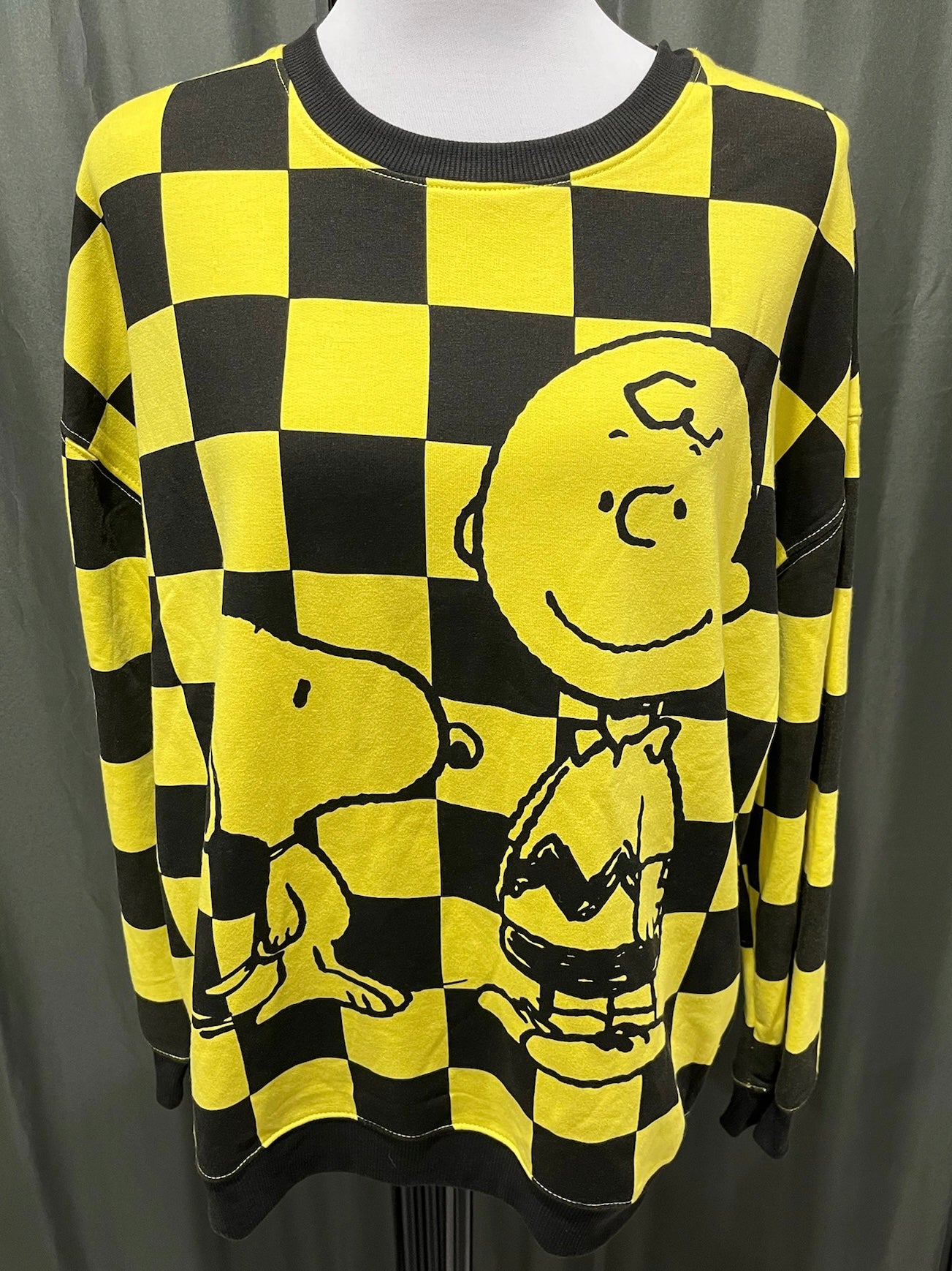 Snoopy and Charlie Sweater image 0
