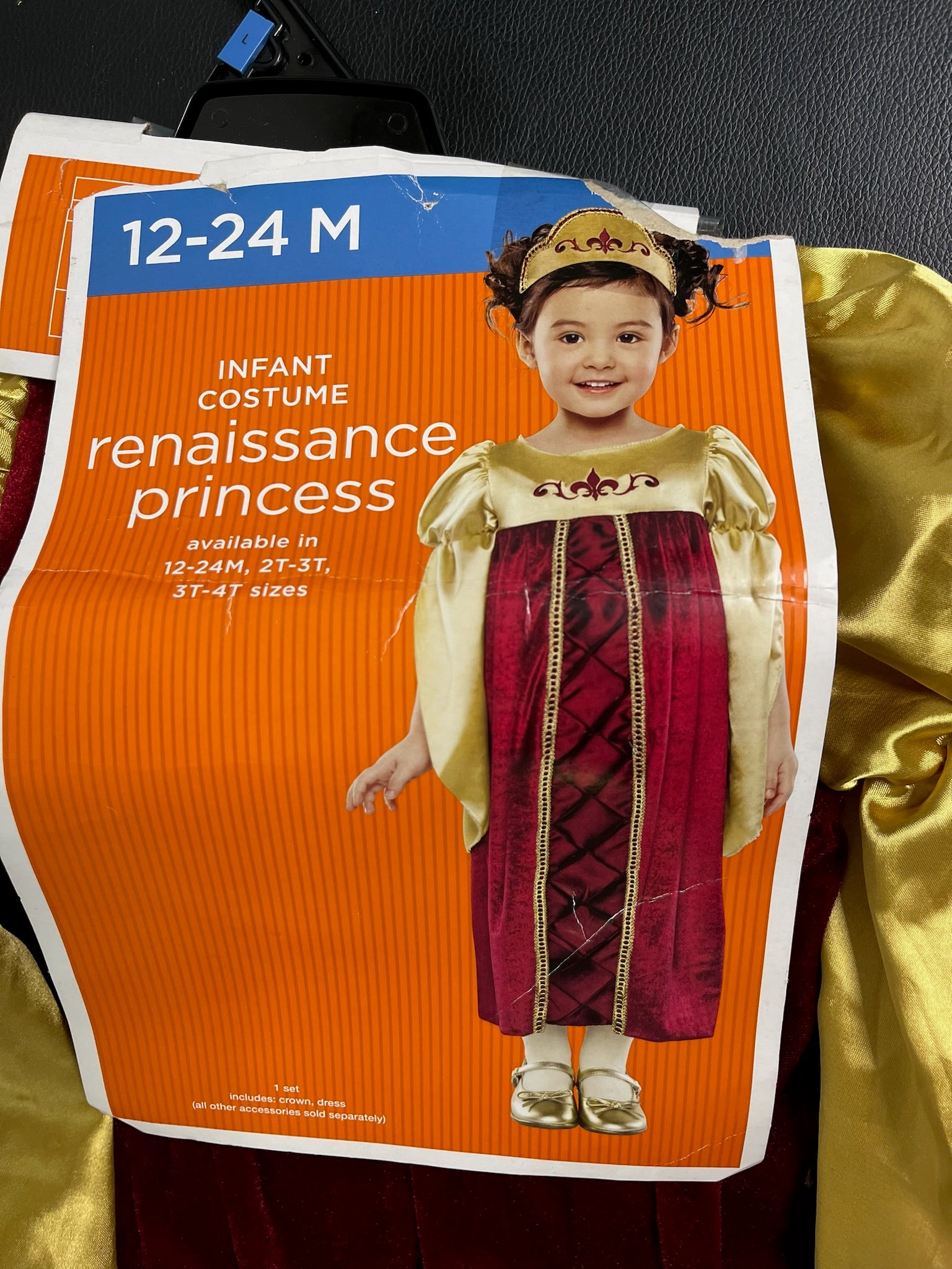Infant Renaissance Princess Costume image 1