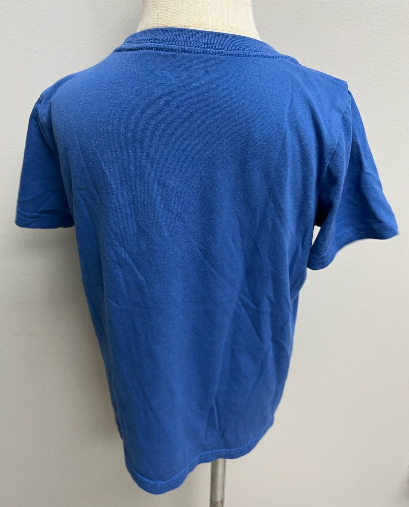 Used Boys Blue Shirt