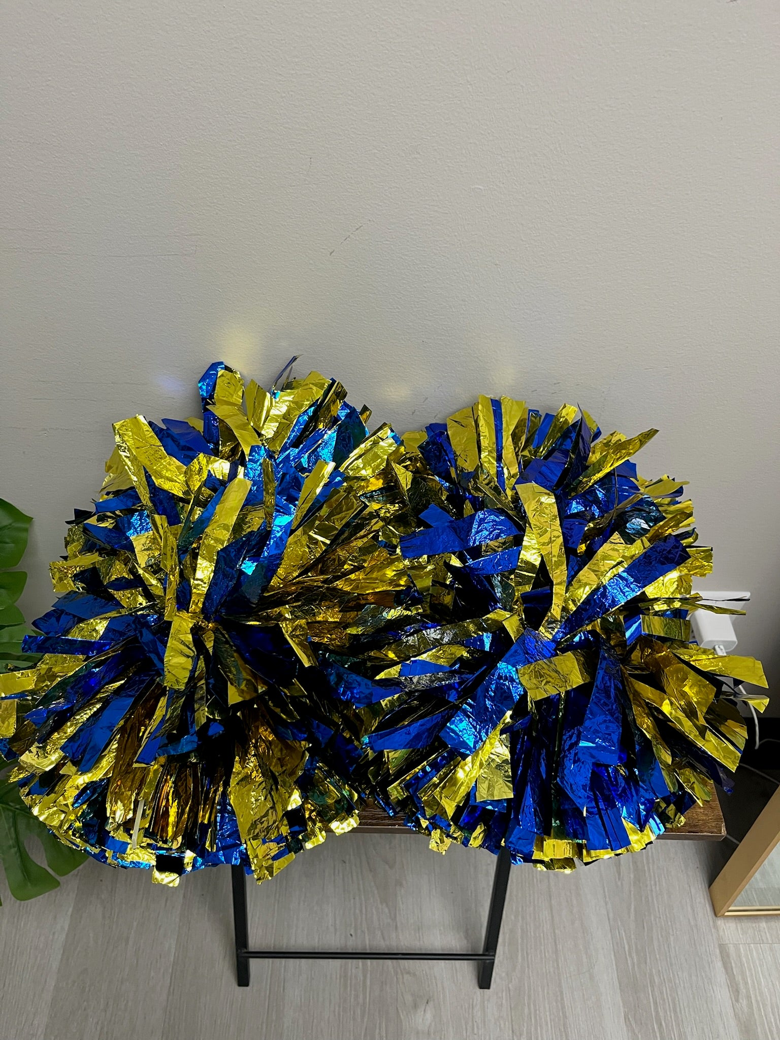 Used Pom Pom Set