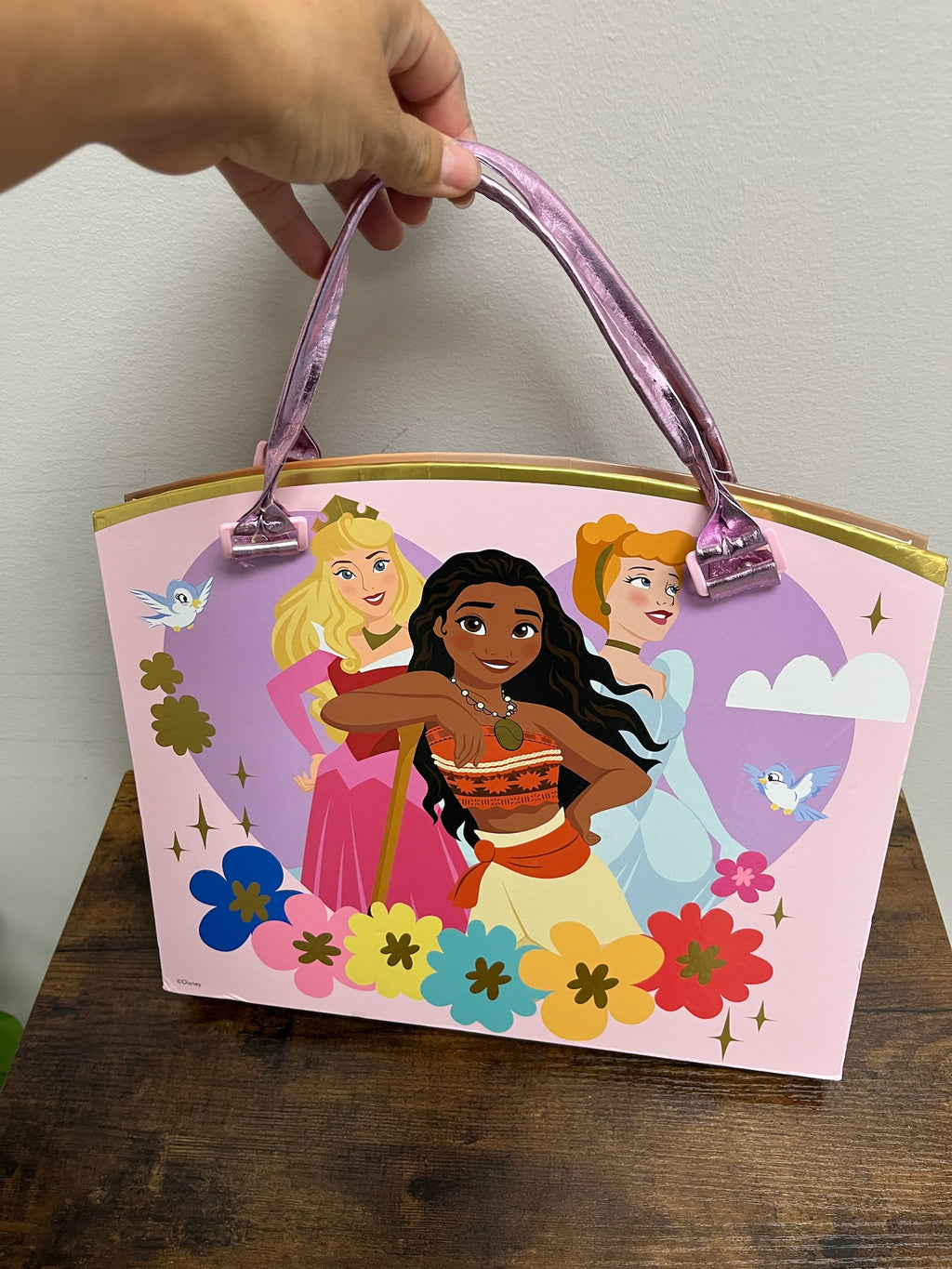 New Princess Paper Drawings Organizer