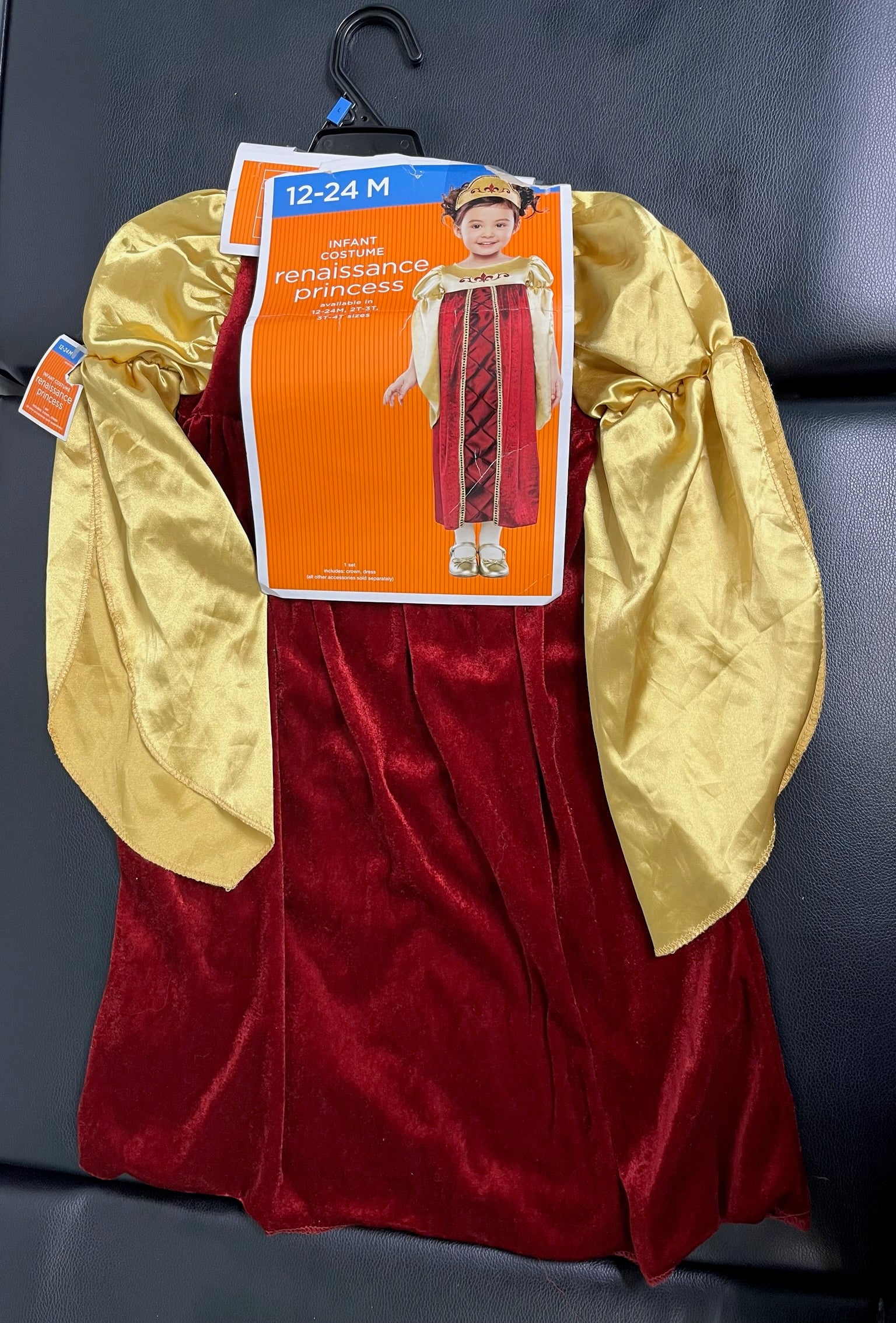 Infant Renaissance Princess Costume image 0