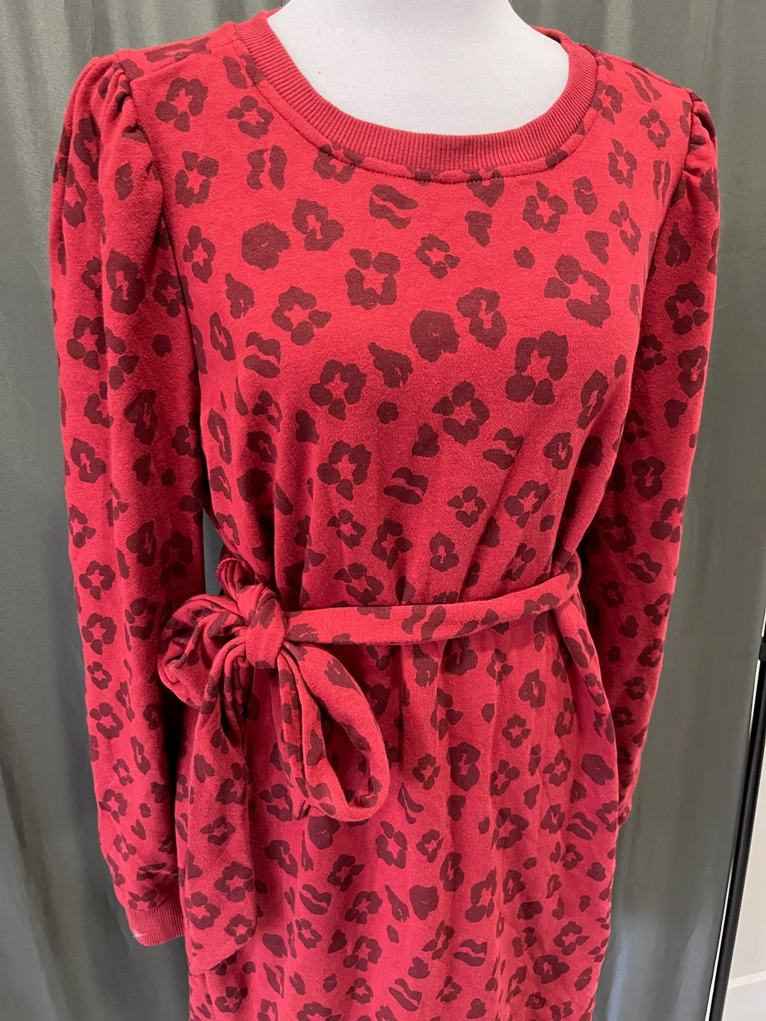 Women’s Burgundy Leopard Dress image 1