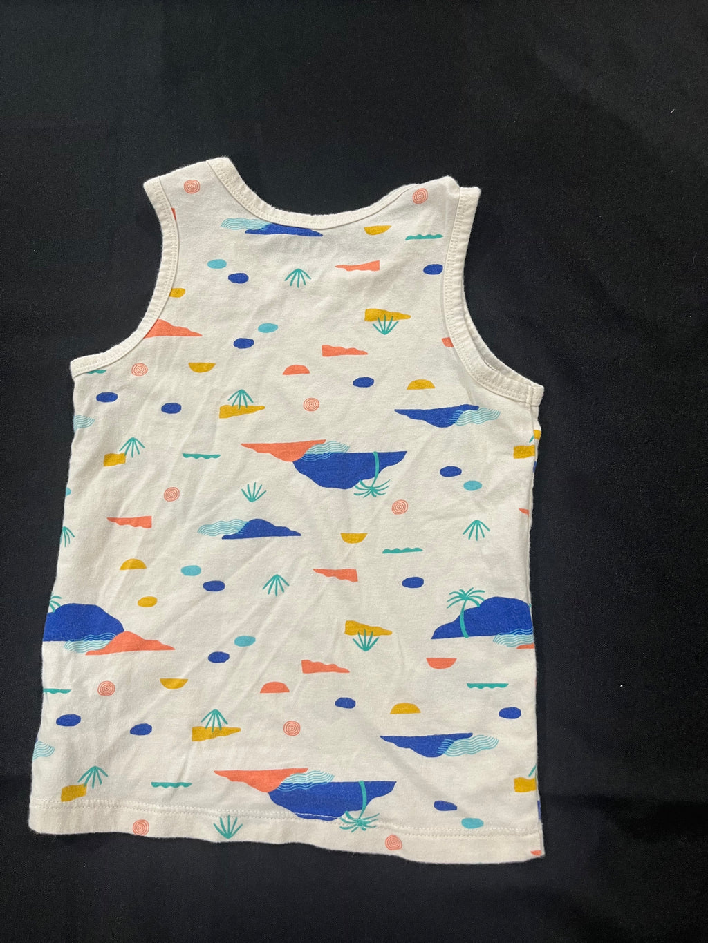 Desert Tank Top image 1
