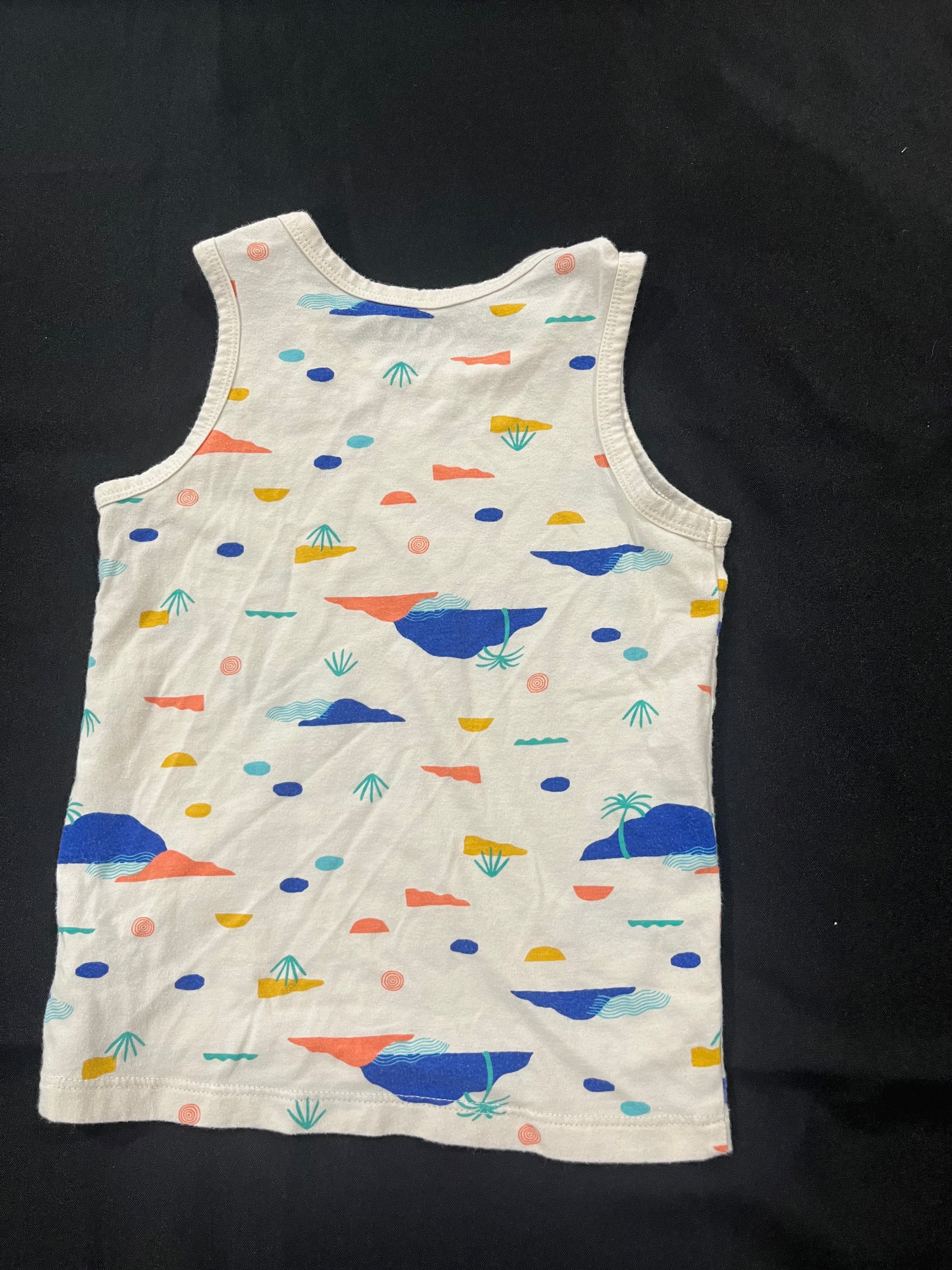 Desert Tank Top image 1