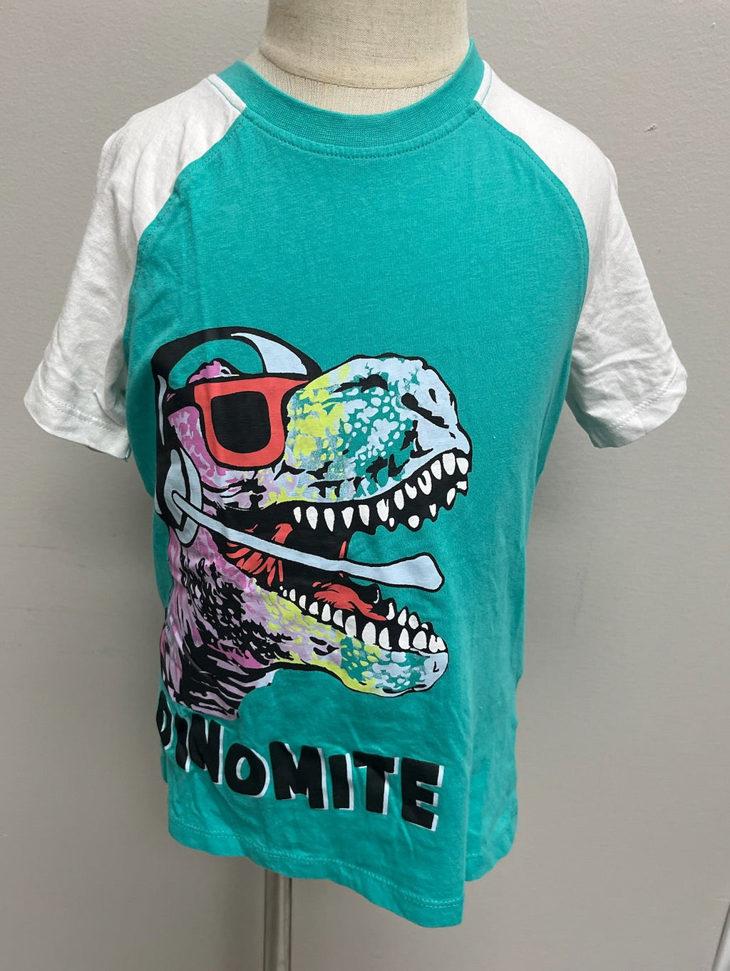 Used Boys Dino Shirt