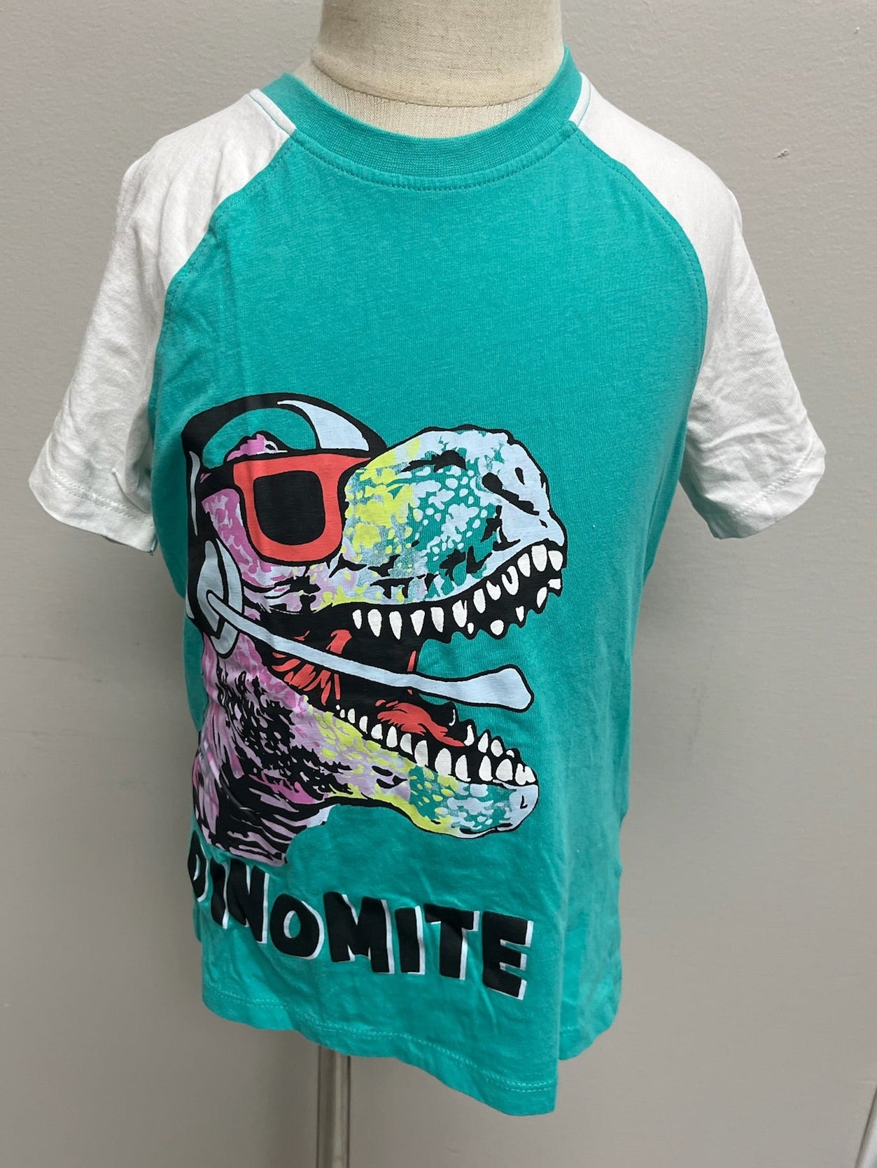 Used Boys Dino Shirt