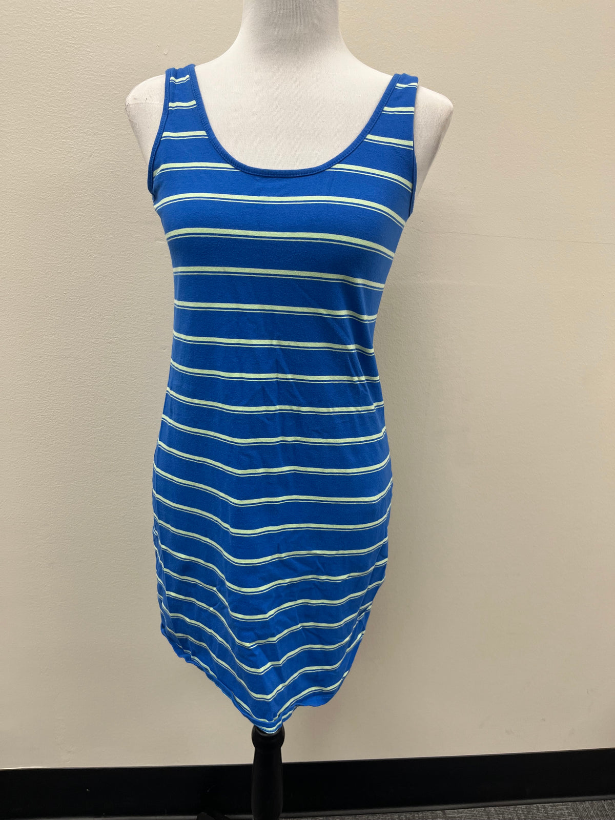 Used Women’s Blue Striped Dress