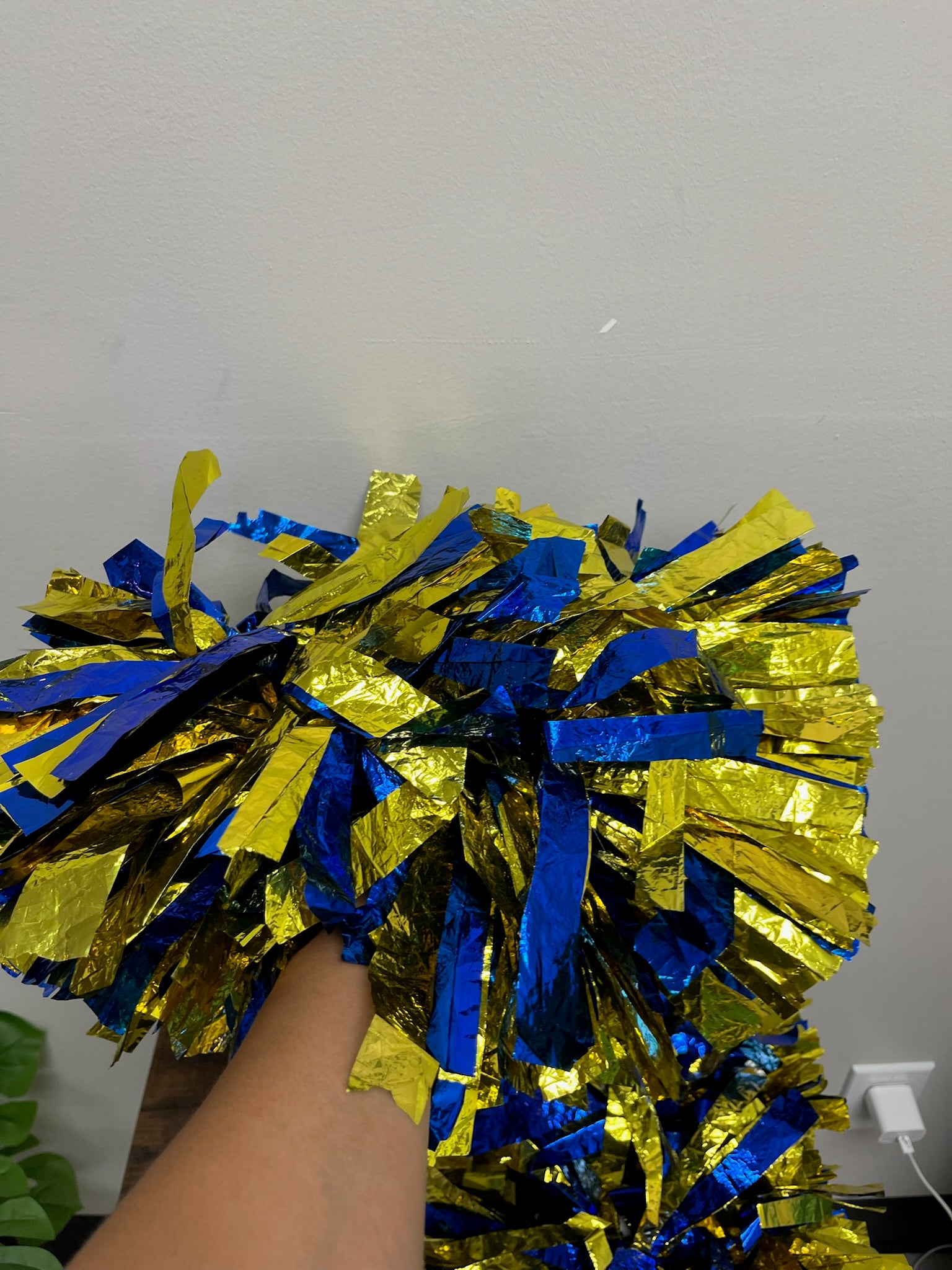 Used Pom Pom Set