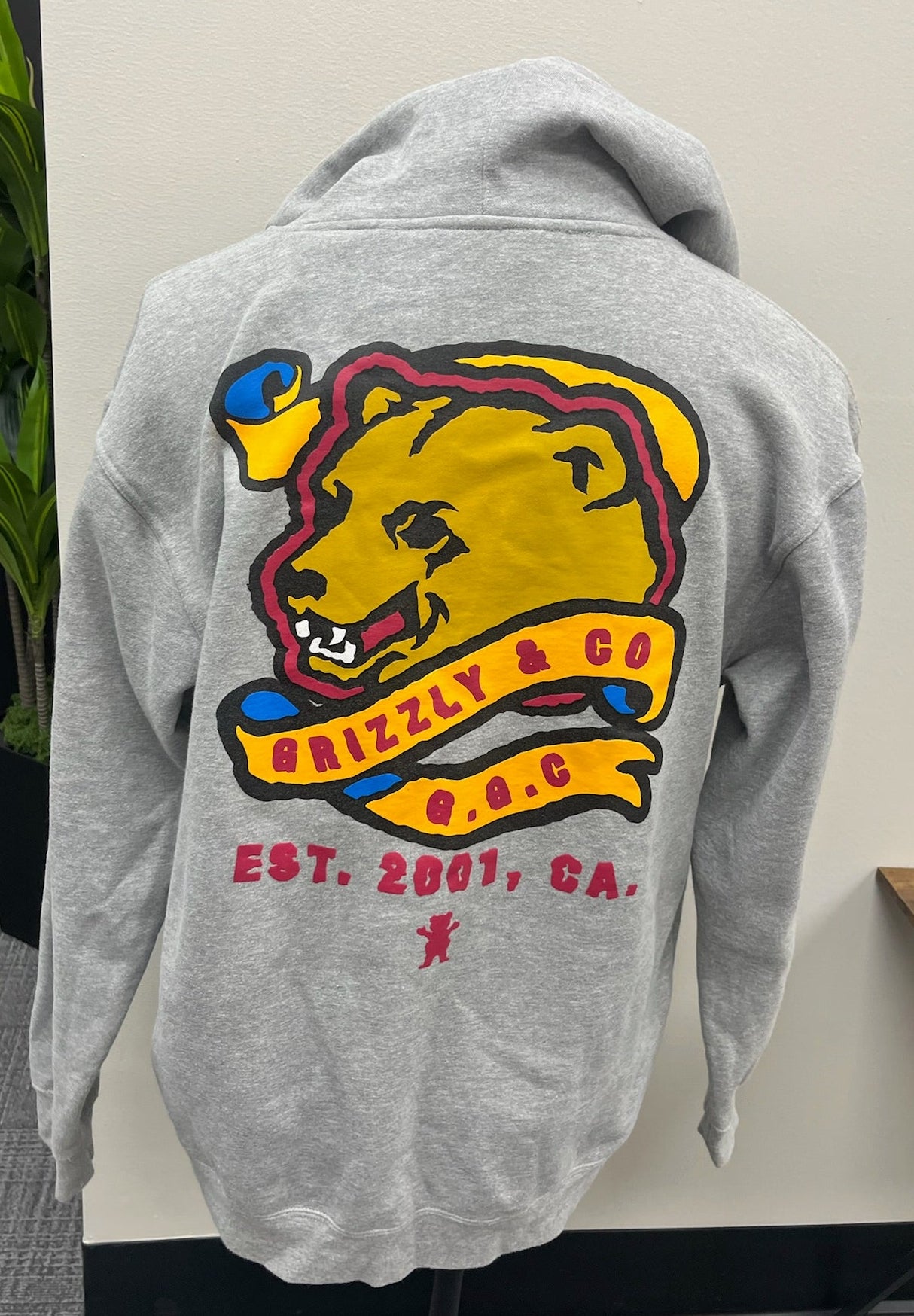 Used Men’s Grey Hoodie