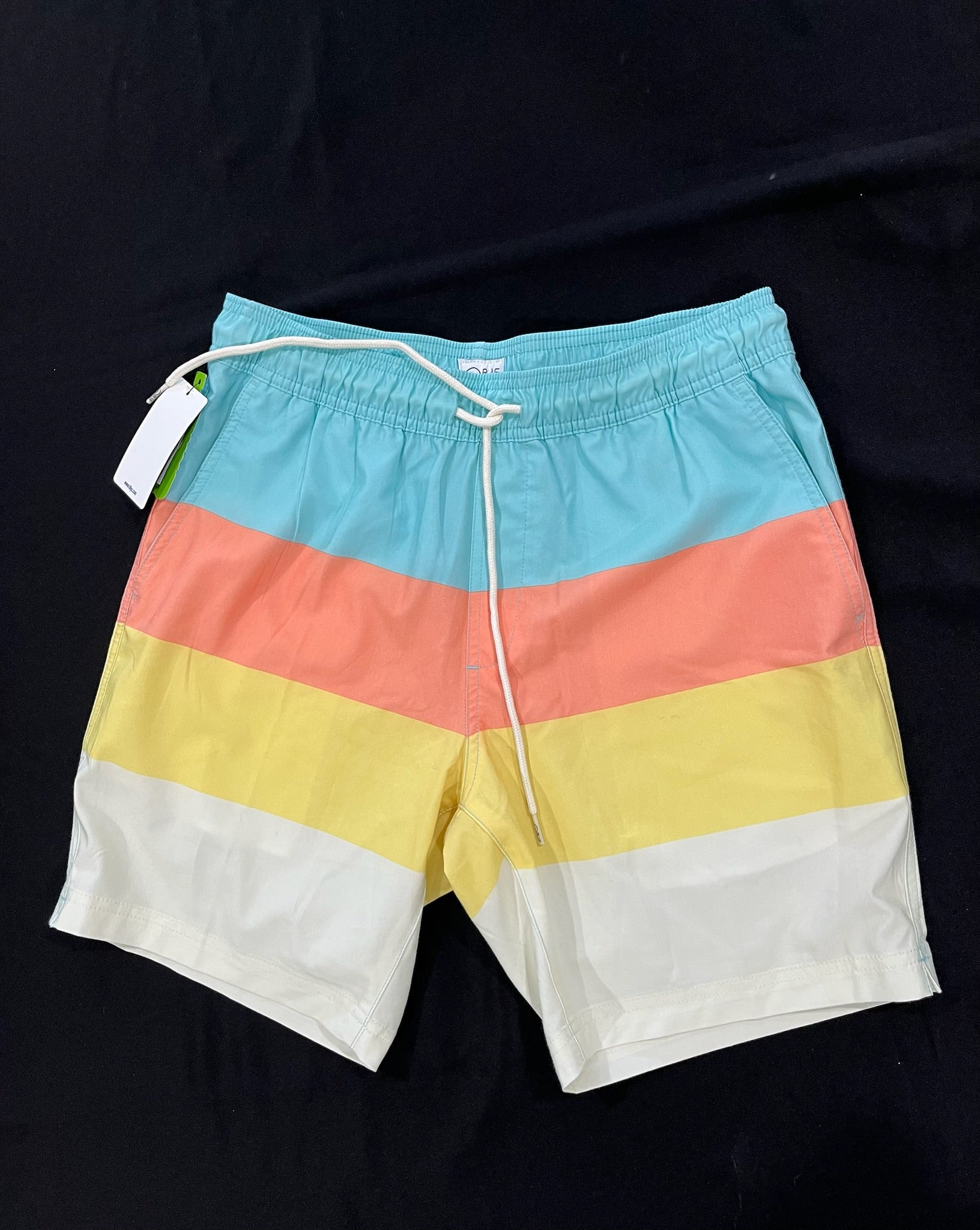 Men’s Swim Trunks image 0
