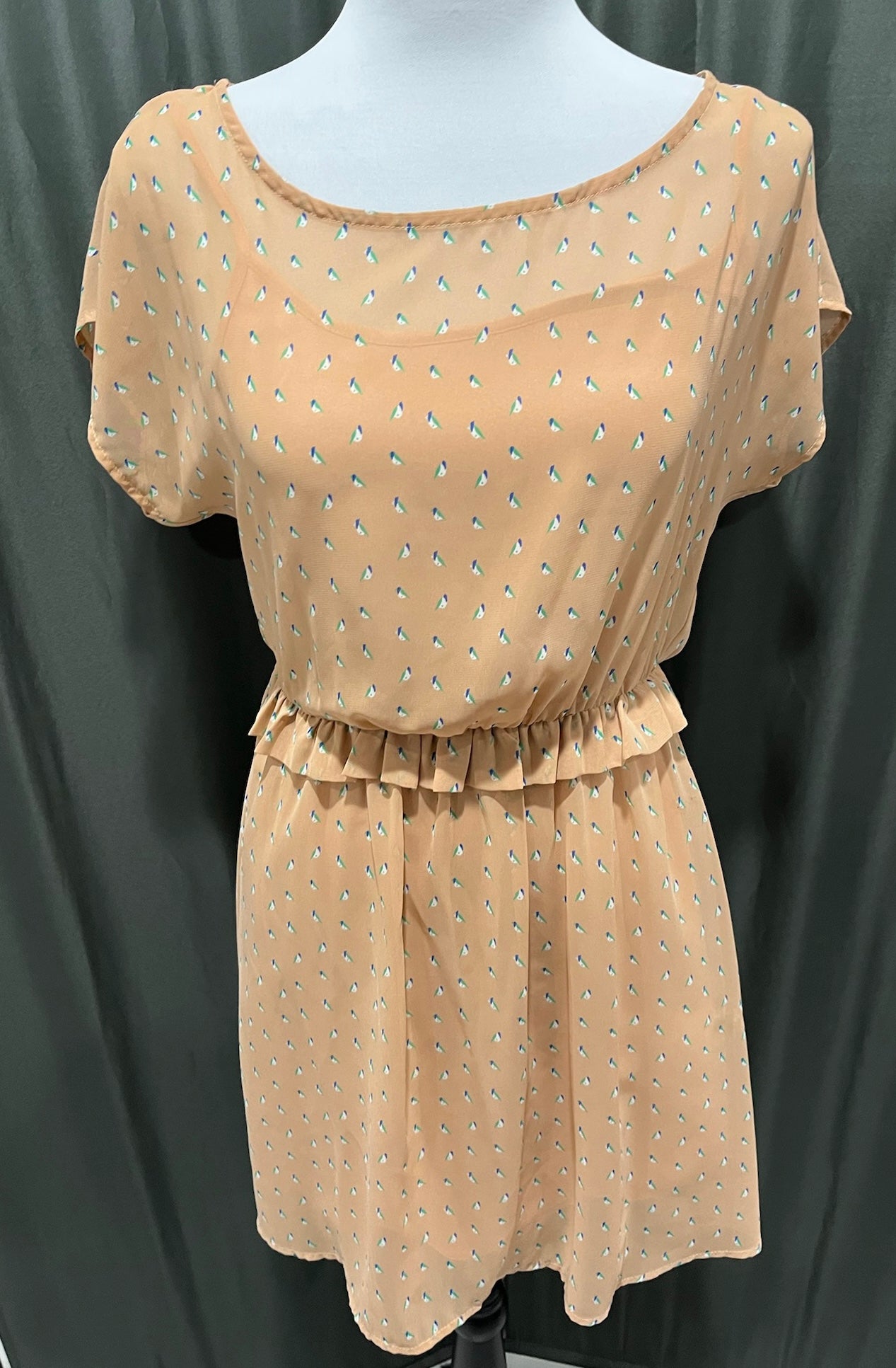 Peach Dress image 0