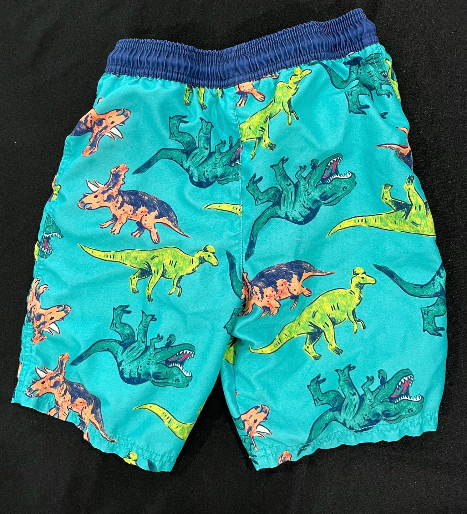Boys Dinosaur Swim Trunks image 1