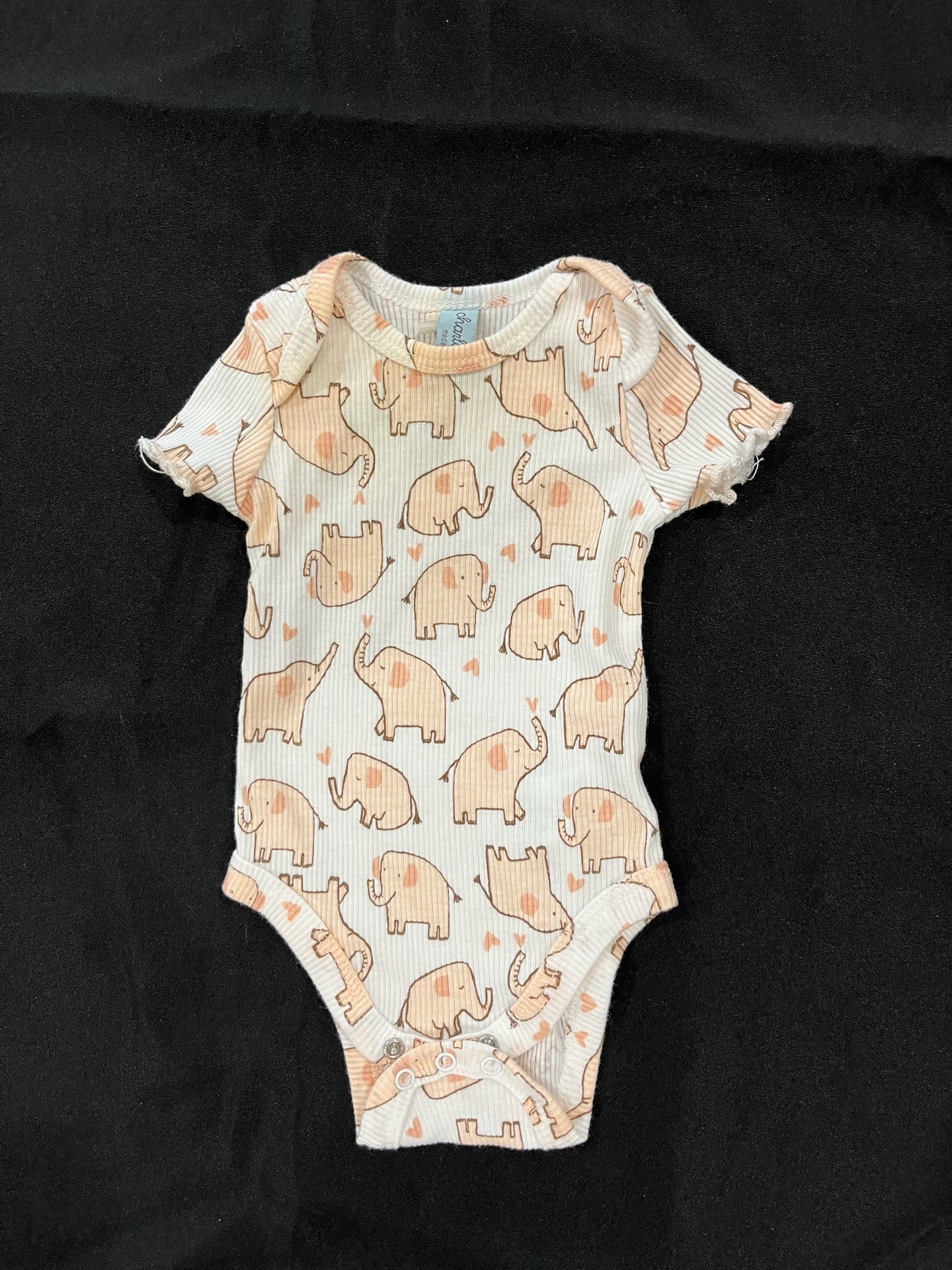 Two Piece Baby Girl Pig Set image 0
