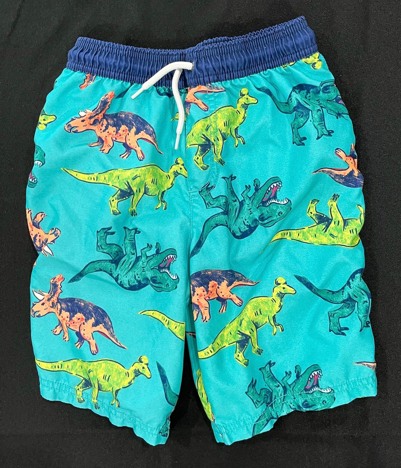 Boys Dinosaur Swim Trunks image 0