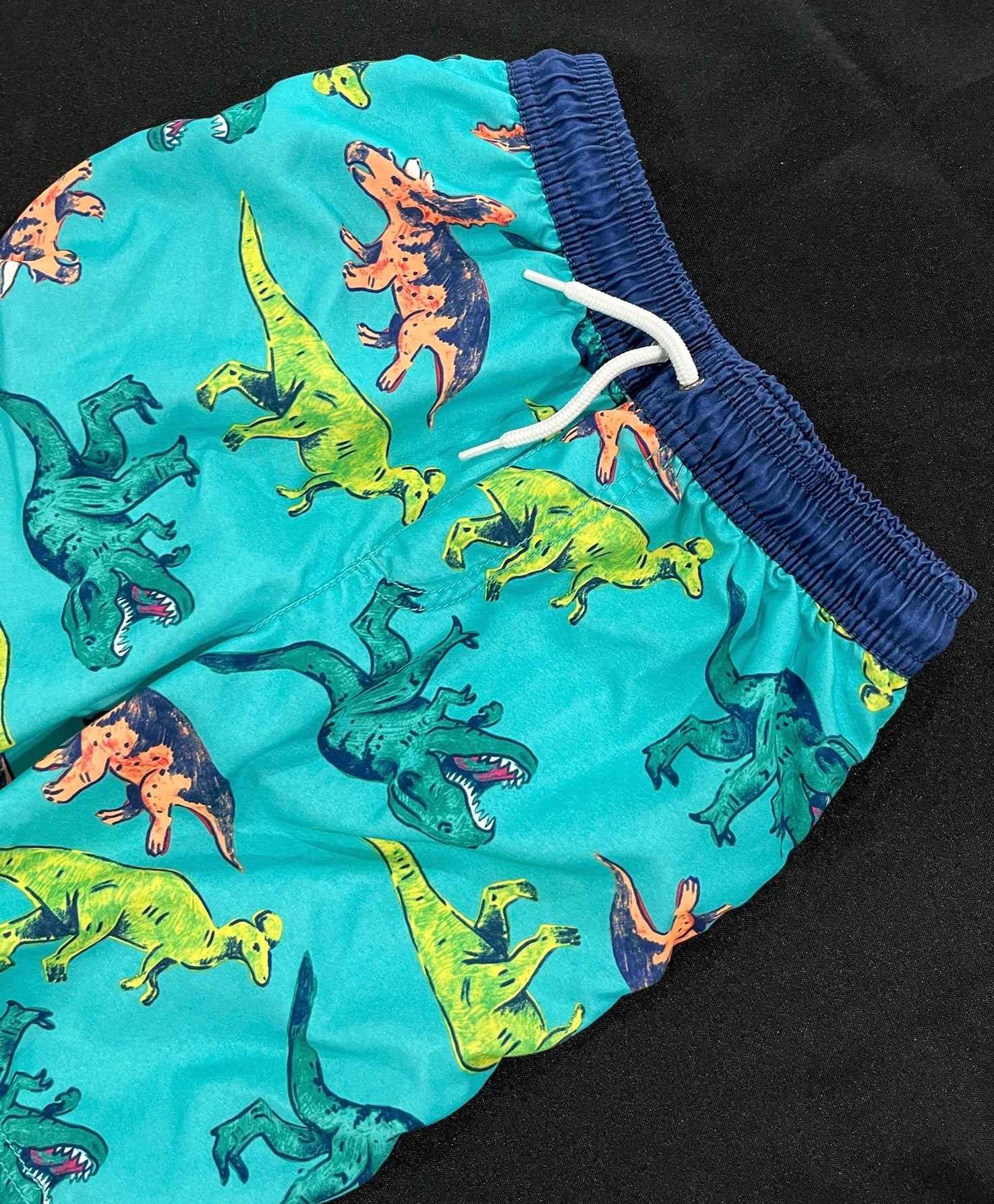 Boys Dinosaur Swim Trunks image 2